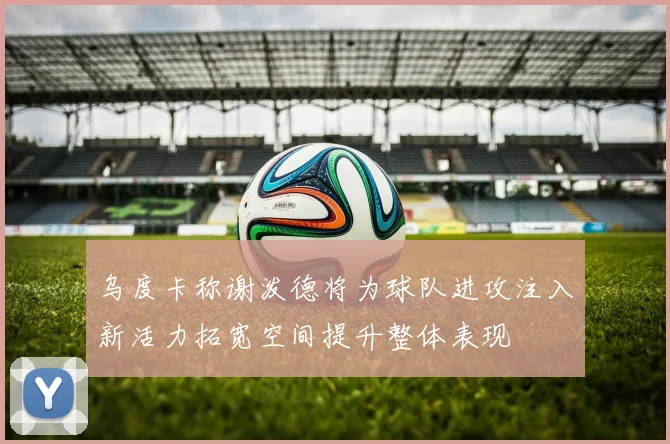 乌度卡称谢泼德将为球队进攻注入新活力拓宽空间提升整体表现