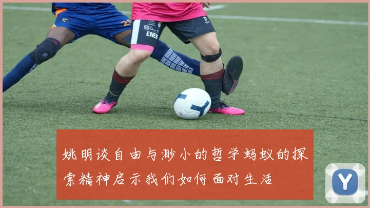 姚明谈自由与渺小的哲学蚂蚁的探索精神启示我们如何面对生活
