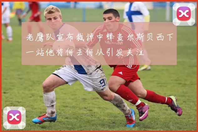 老鹰队宣布裁掉中锋查尔斯贝西下一站他将何去何从引发关注