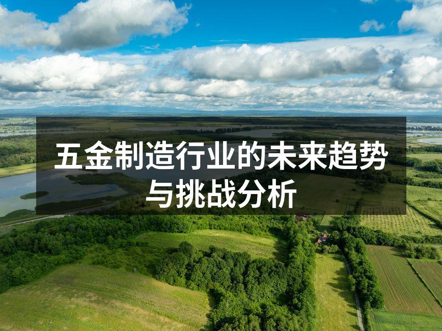 五金制造行业的未来趋势与挑战分析