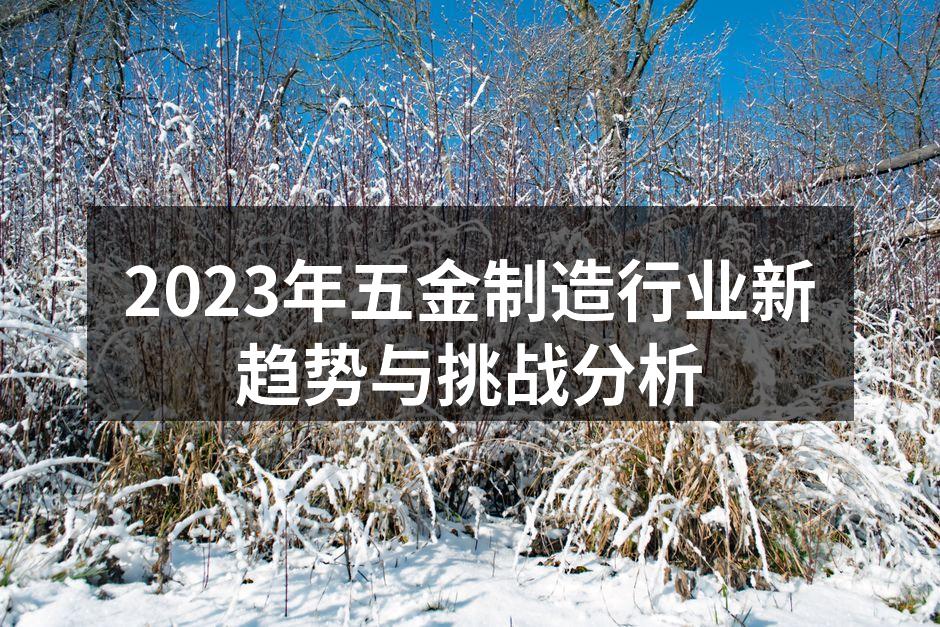2023年五金制造行业新趋势与挑战分析