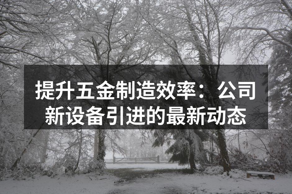提升五金制造效率：公司新设备引进的最新动态