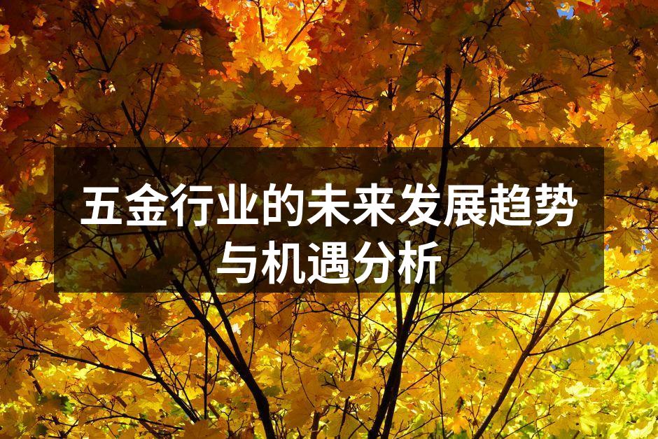 五金行业的未来发展趋势与机遇分析